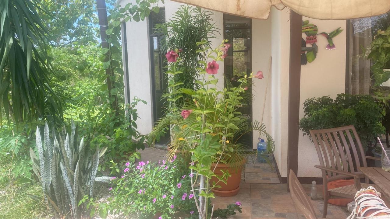 Villa Pura Vida Matapalo (Santa Cruz) Exterior foto